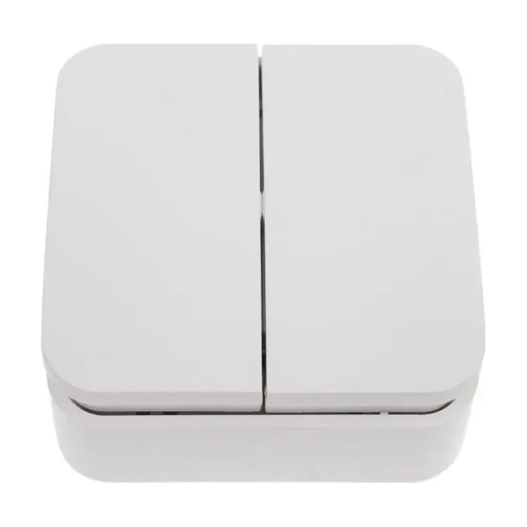 Двухклавишный выключатель Systeme Electric Blanca BLNVA105021