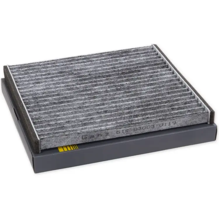 Угольный салонный фильтр для HYUNDAI Solaris, KIA Rio III Ganz GIR03003