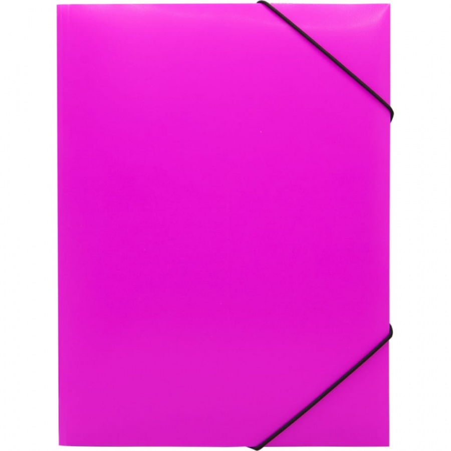 Папка Бюрократ Double Neon