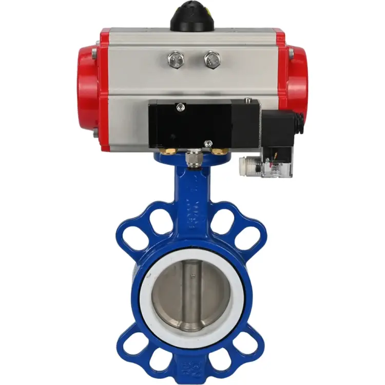 Затвор DN.ru wcb-316l-ptfe D050-02388