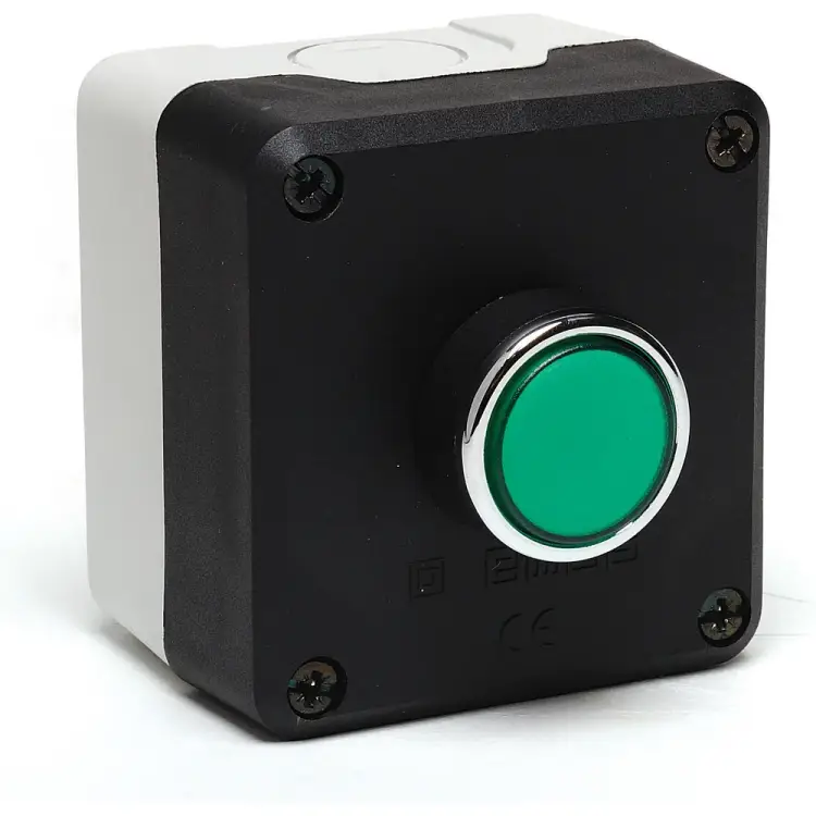 Пульт управления EMAS P1C300DY