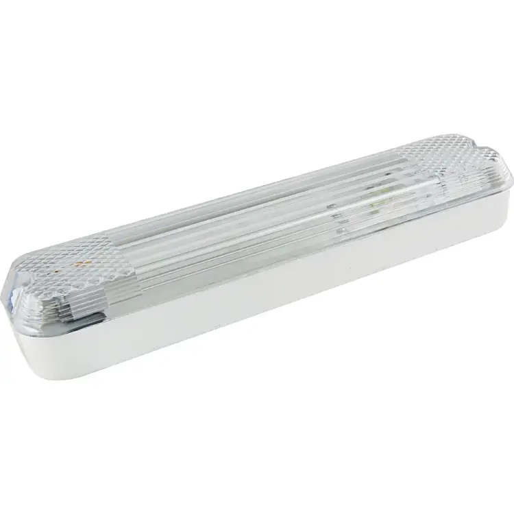 Вандалоустойчивый светильник TDM ELECTRIC ЛПБ 31-11-006 SQ0353-0009