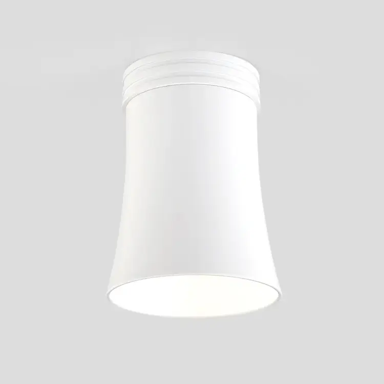 Накладной светильник Elektrostandard DLN100 a043164