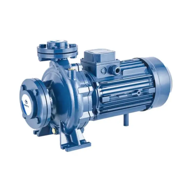 Моноблочный фланцевый насосный агрегат Purity PSTC 32-160/15 (N) 100589374