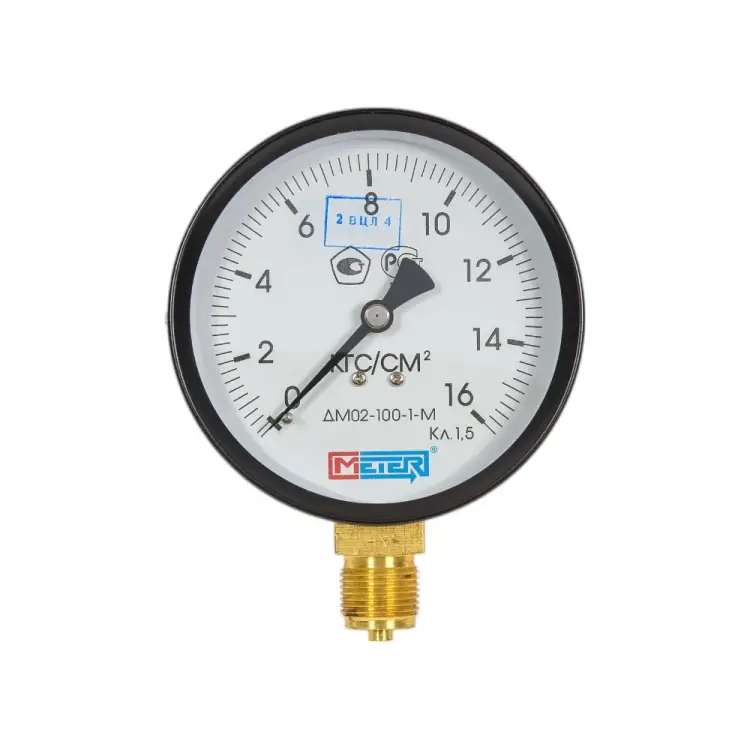 Манометр МЕТЕР ДМ 02-100-1-М 726