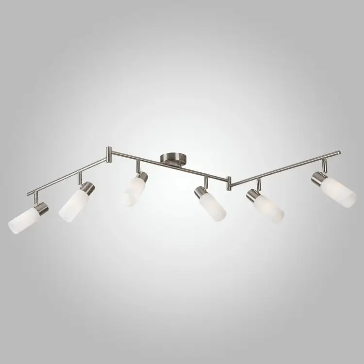 Потолочный светильник Eurosvet 20043 00000077099