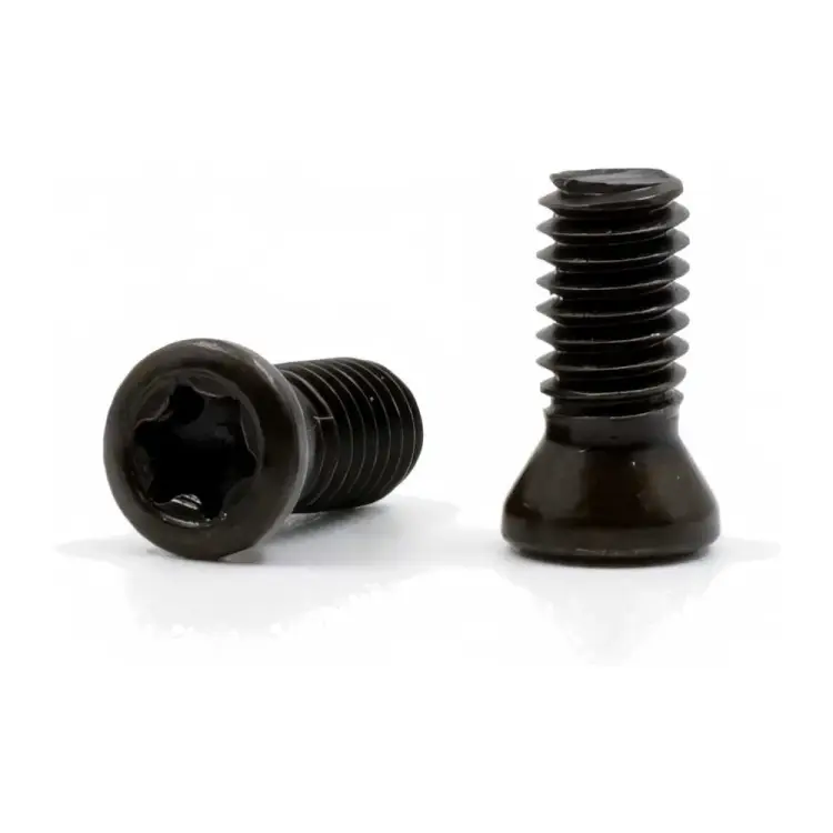 Винт для крепления пластин DESKAR 00-00035199