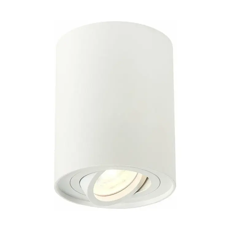 Потолочный светильник ST luce TORUS ST108.517.01