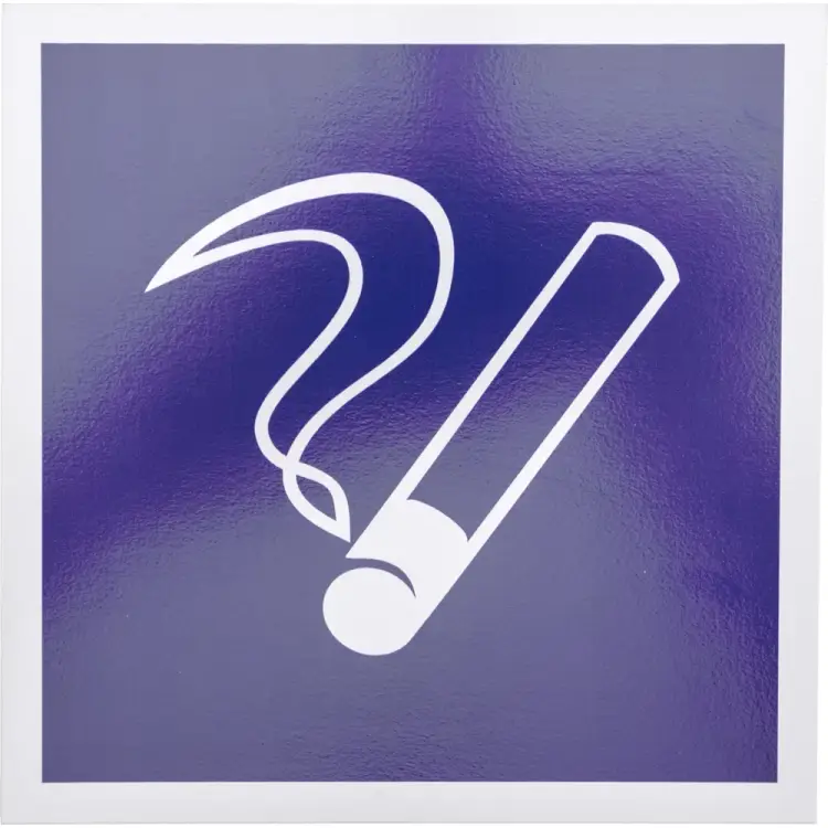 Информационная табличка REXANT Место курения 56-0033-2 Информационная табличка REXANT Место курения 56-0033-2