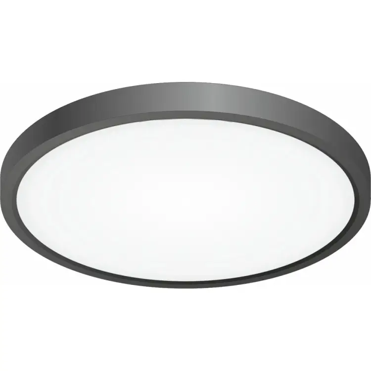 Накладной светильник Citilux Бейсик CL738241V