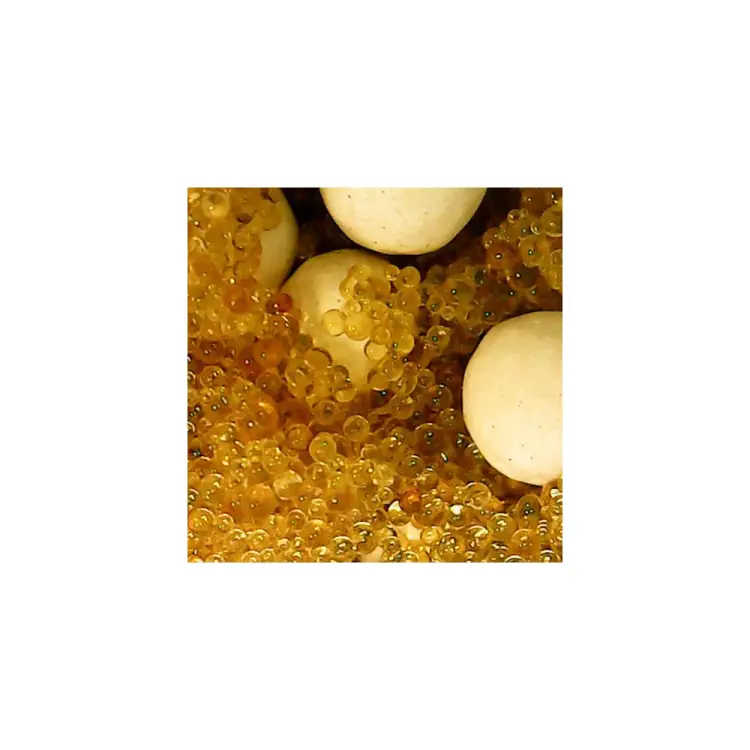 Микс ионообменная смола Ecvols SoftEx B+ 00.00010843