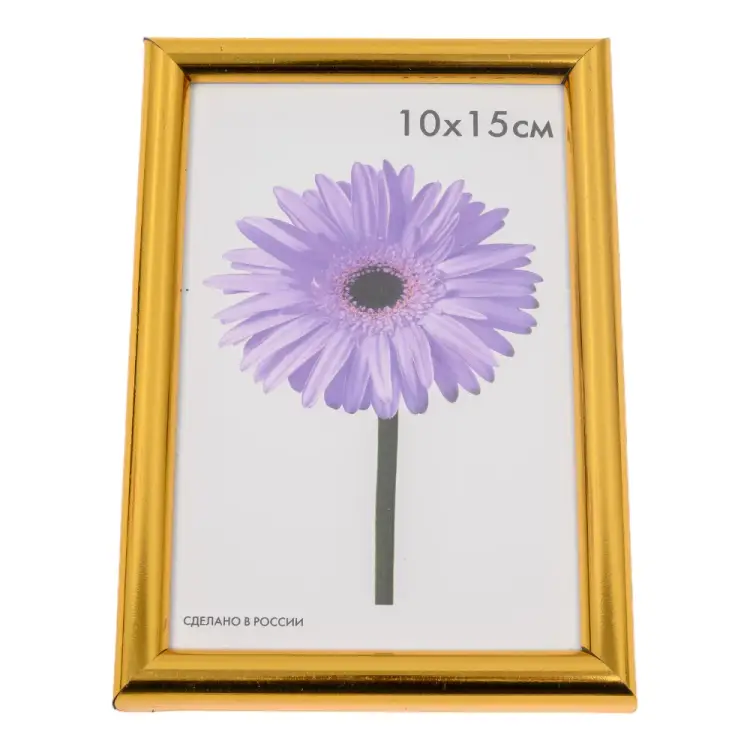 Пластиковая рамка ООО Изометрика Maria 0052-4-0021