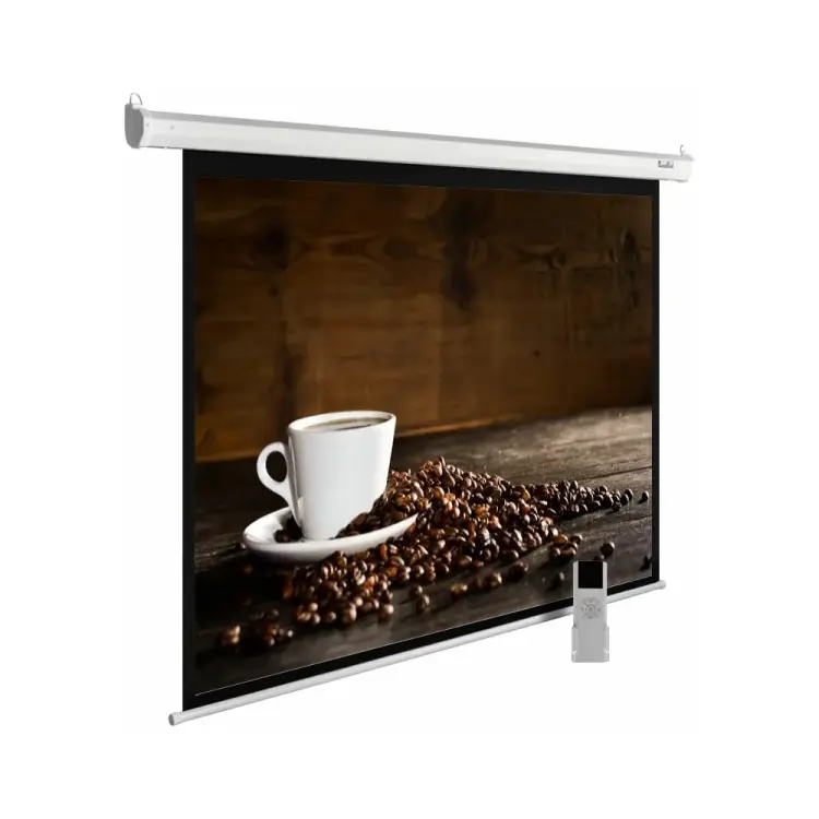 Настенно-потолочный рулонный экран Cactus MotoExpert 1:01 407880