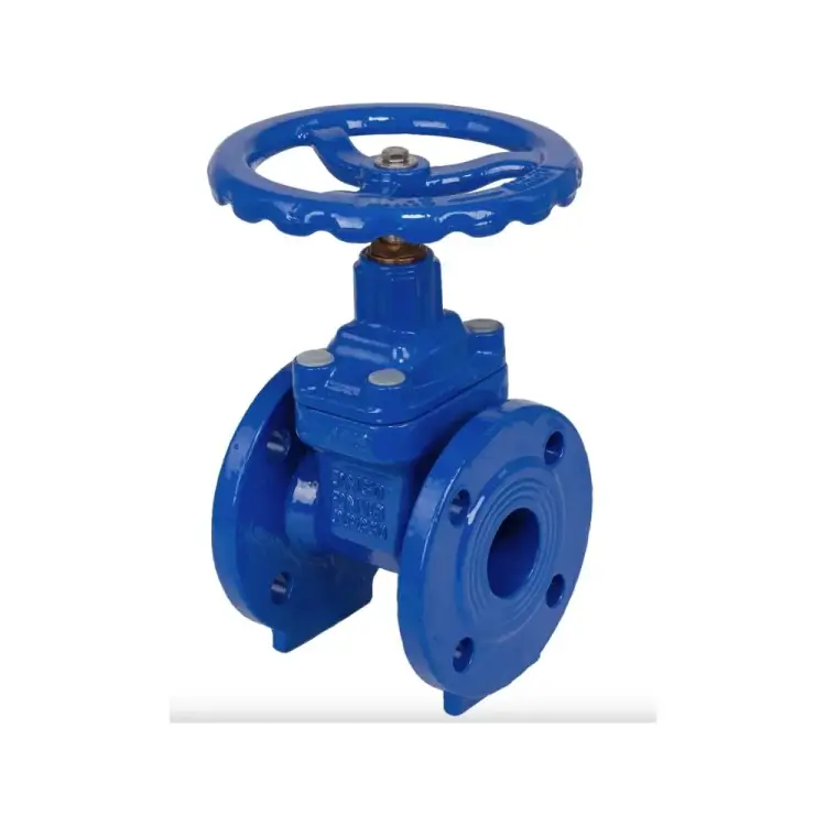 Задвижка DYARM -ZK-080-16-G-E 4687203187026