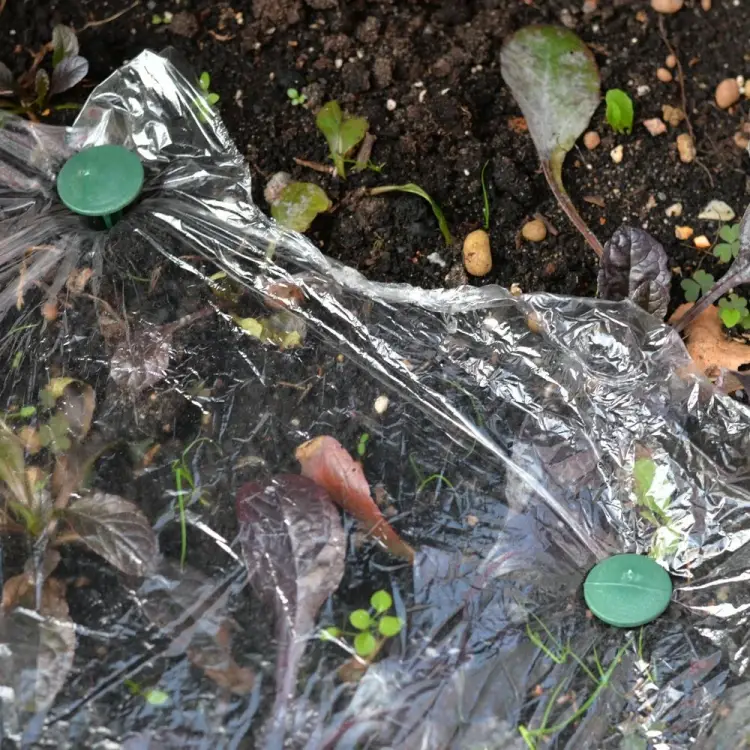 Садовые крепежные гвозди МУЛЬТИДОМ 15 см, 4 шт. VL83-241