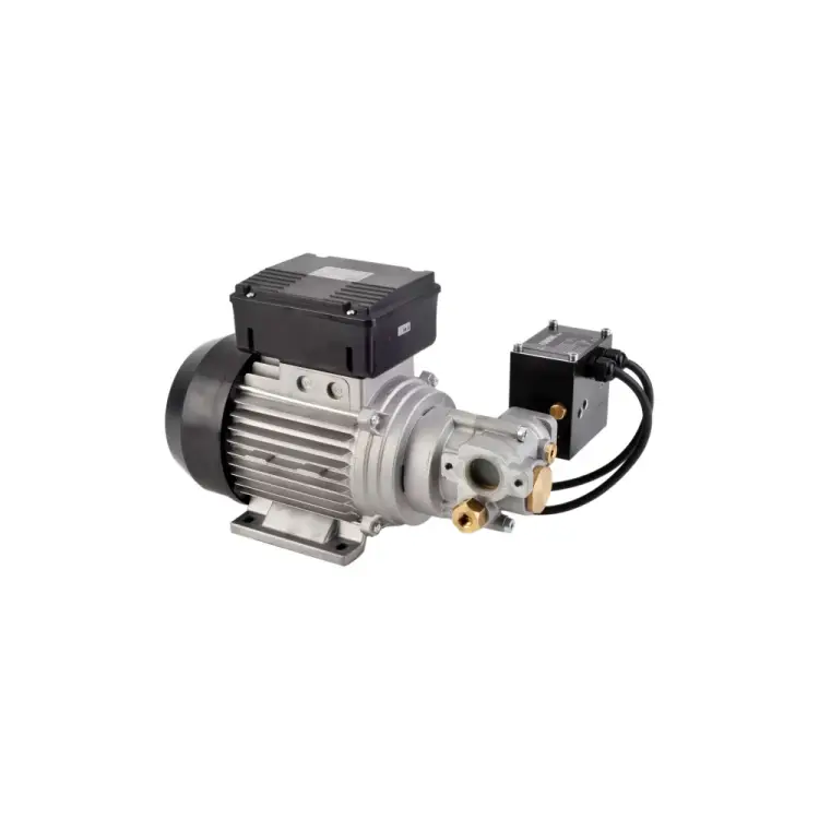 Электрический шиберный насос для перекачки масла PIUSI Viscomat 200/2 Flowmat F0030200D Электрический шиберный насос для перекачки масла PIUSI Viscomat 200/2 Flowmat F0030200D