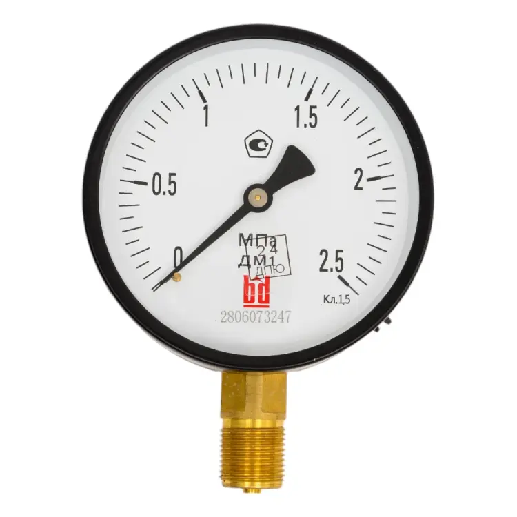 Манометр BD ДМ 1 Т2 100 Р 1151100004