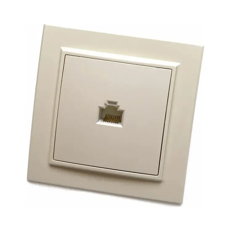 Компьютерная одноместная розетка STEKKER Эрна PST00-9007-02 39233