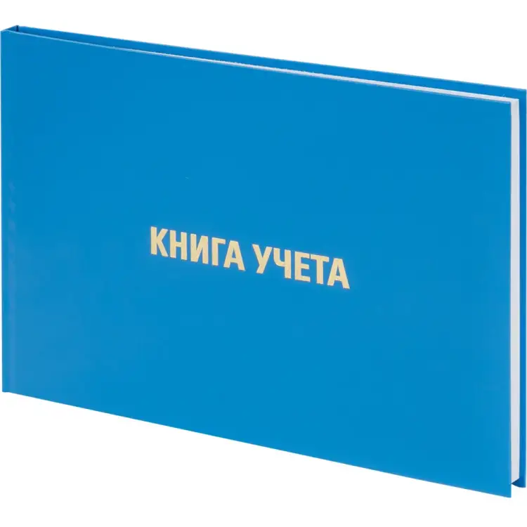 Книга учета BRAUBERG 130074 Книга учета BRAUBERG 130074