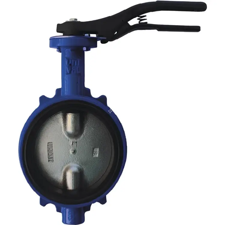 Дисковый поворотный затвор Giacomini DN100 R59WY010