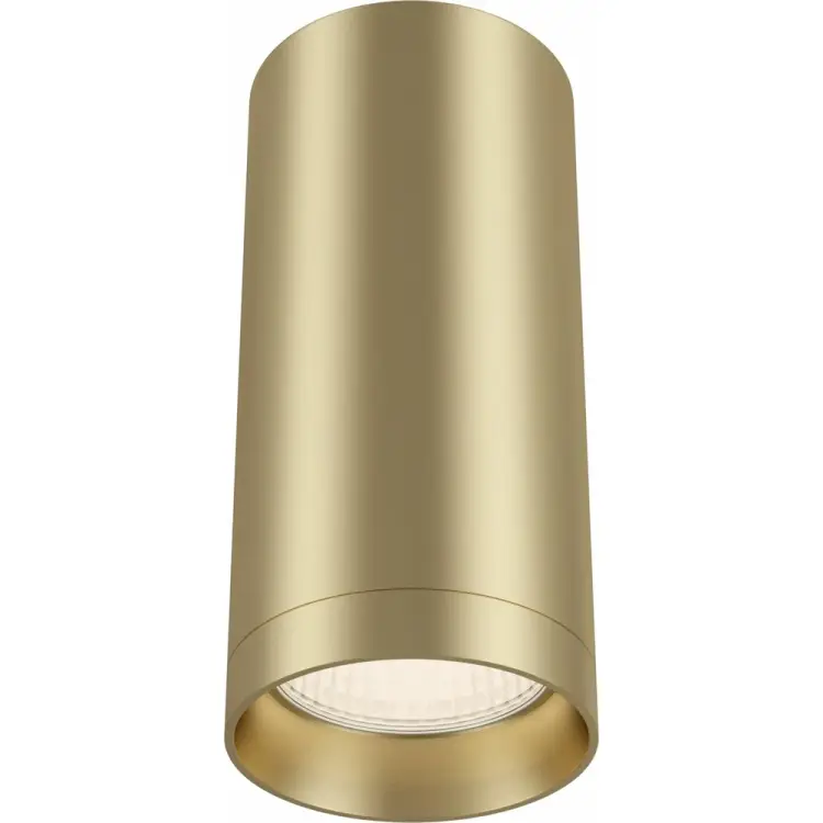 Потолочный светильник MAYTONI Focus C010CL-01MG 1xGU10x50W