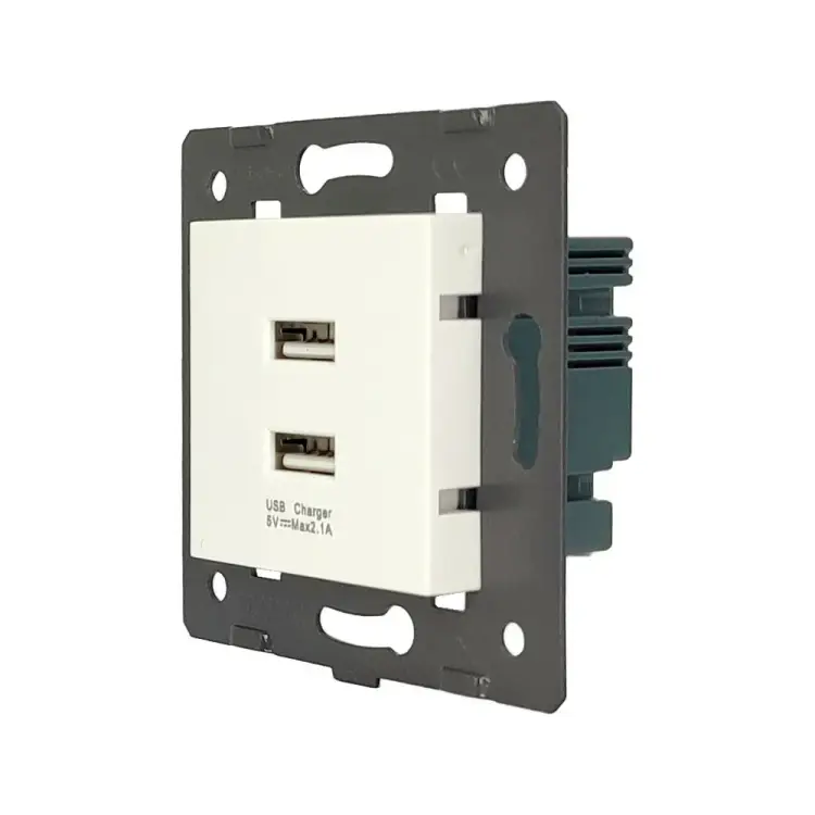 Розетка LIVOLO AM-2USB-11