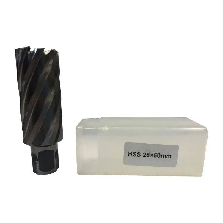 Кольцевая фреза Rotorica RT.4215028