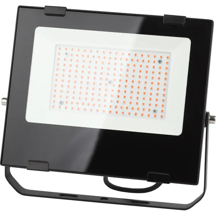 Прожектор ЭРА FITO Б0046369