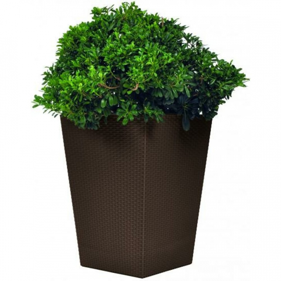 Кашпо Keter Rattan Planter