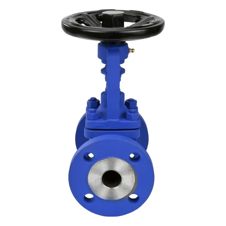 Запорный сильфонный клапан DN.ru 234f D090-01619