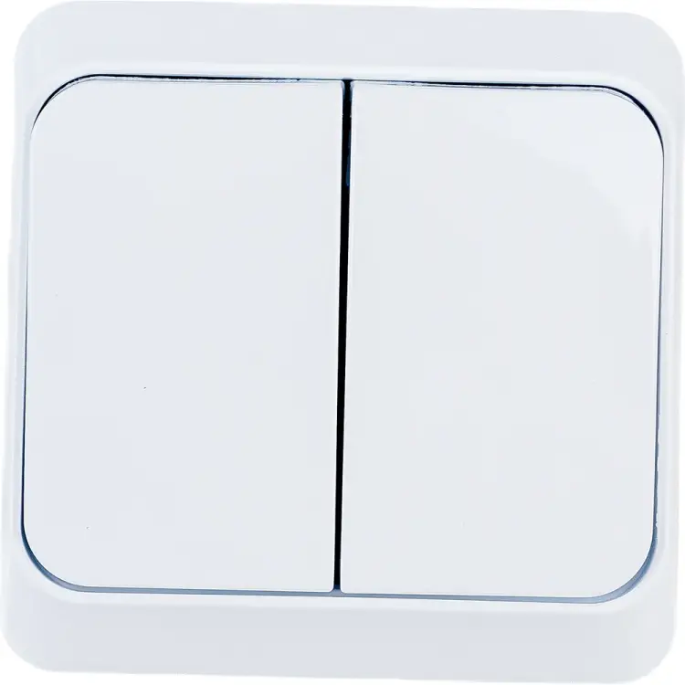 Двухклавишный выключатель Systeme Electric Этюд BA10-006B