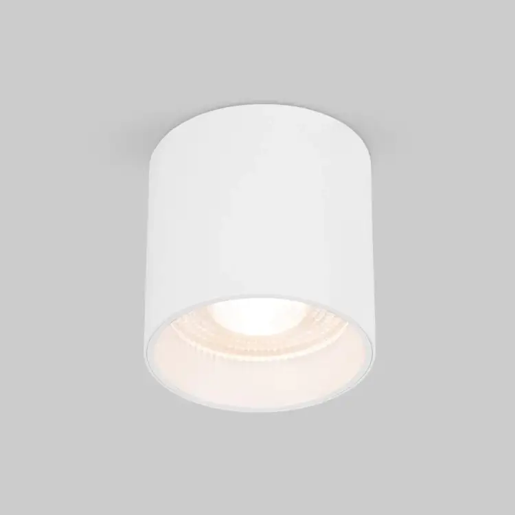 Потолочный светодиодный светильник Elektrostandard a062930