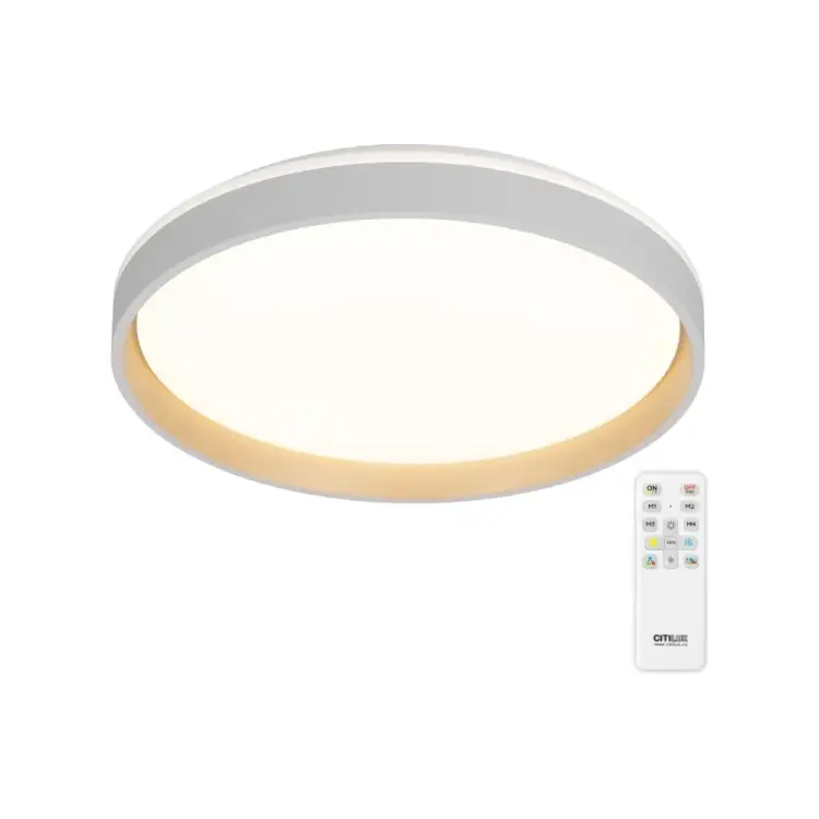 Светильник Citilux ENZO LED RGB CL753450G