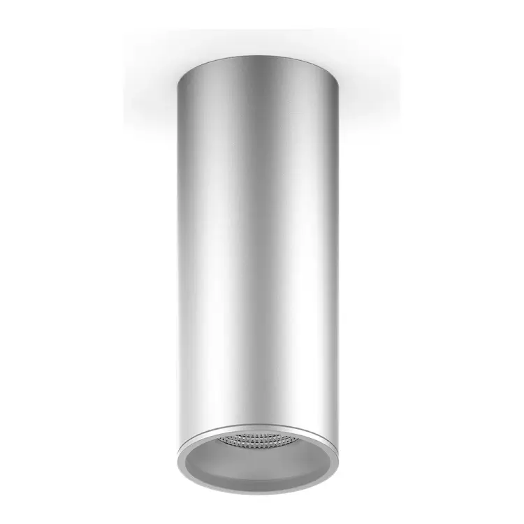 Накладной светильник Gauss HD006