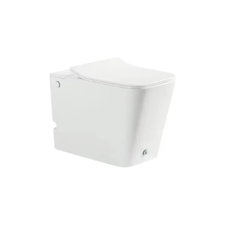 Безободковый напольный приставной унитаз Santi Line SL-5033