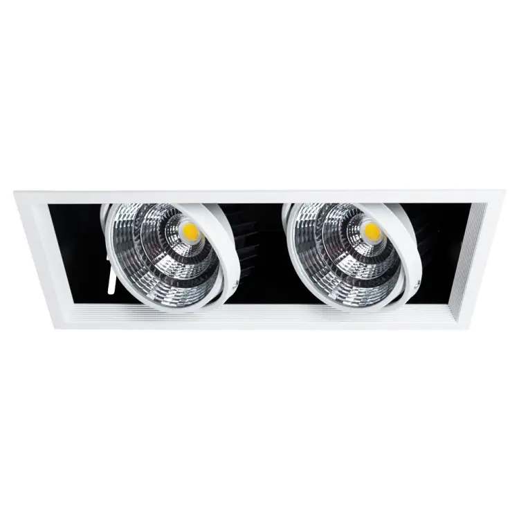 Потолочный светильник ARTE LAMP A8450PL-2WH