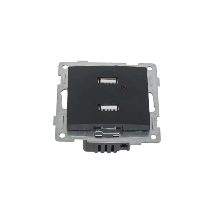 Двойная розетка usb GUSI Electric Bravo С10USB2-010