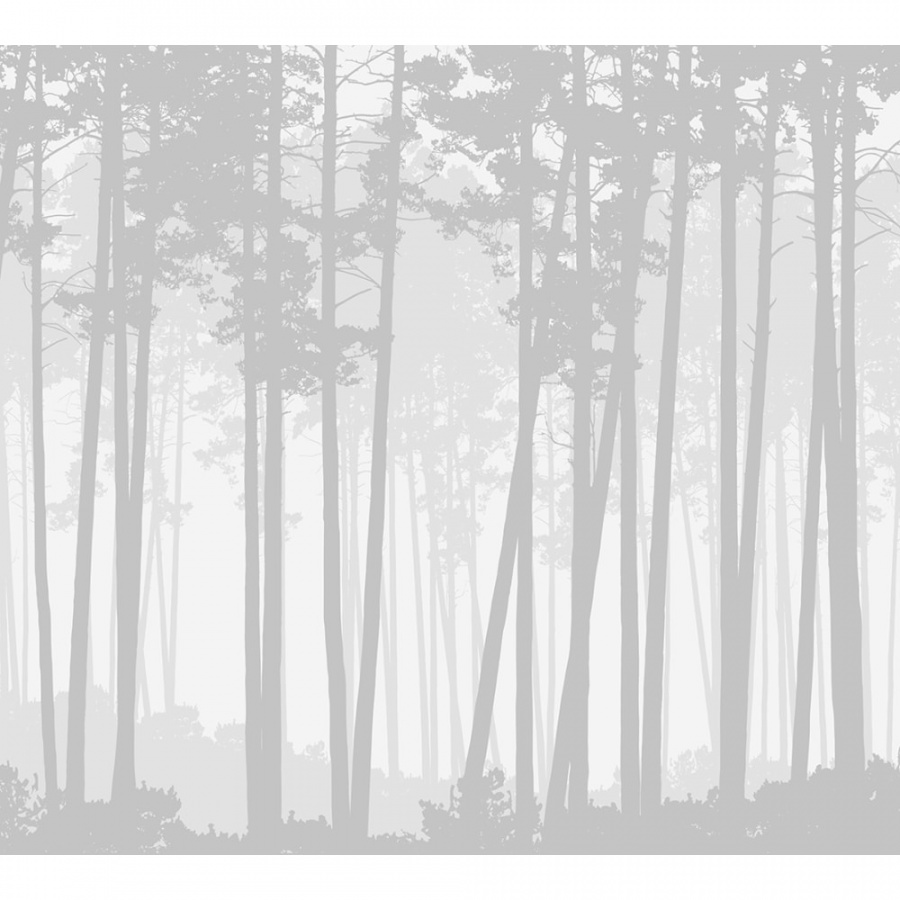 Фотообои DIVINO Лес графика