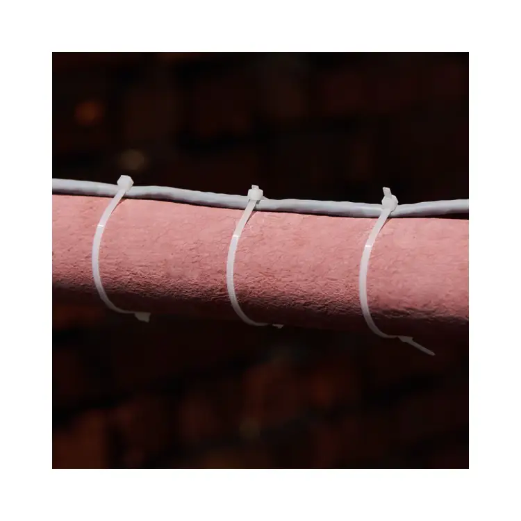 Хомут REXANT 07-0100-25