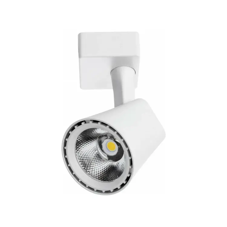 Потолочный светильник ARTE LAMP A1810PL-1WH