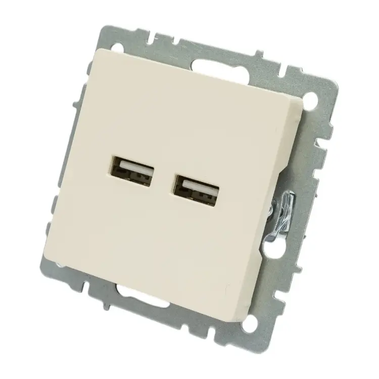 Розетка usb IEK Brite BR-U21-D31-K10