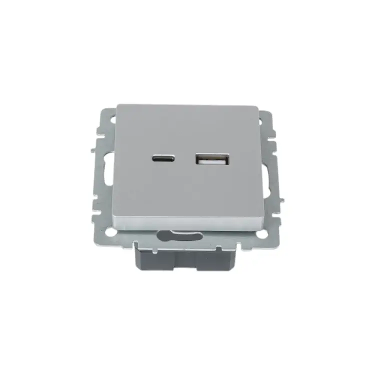 Розетка usb IEK Brite BR-U22-018-K47