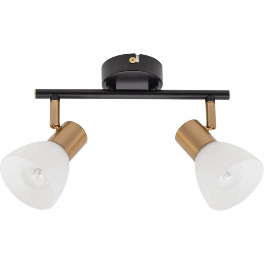 Потолочный светильник ARTE LAMP A3117PL-2BK