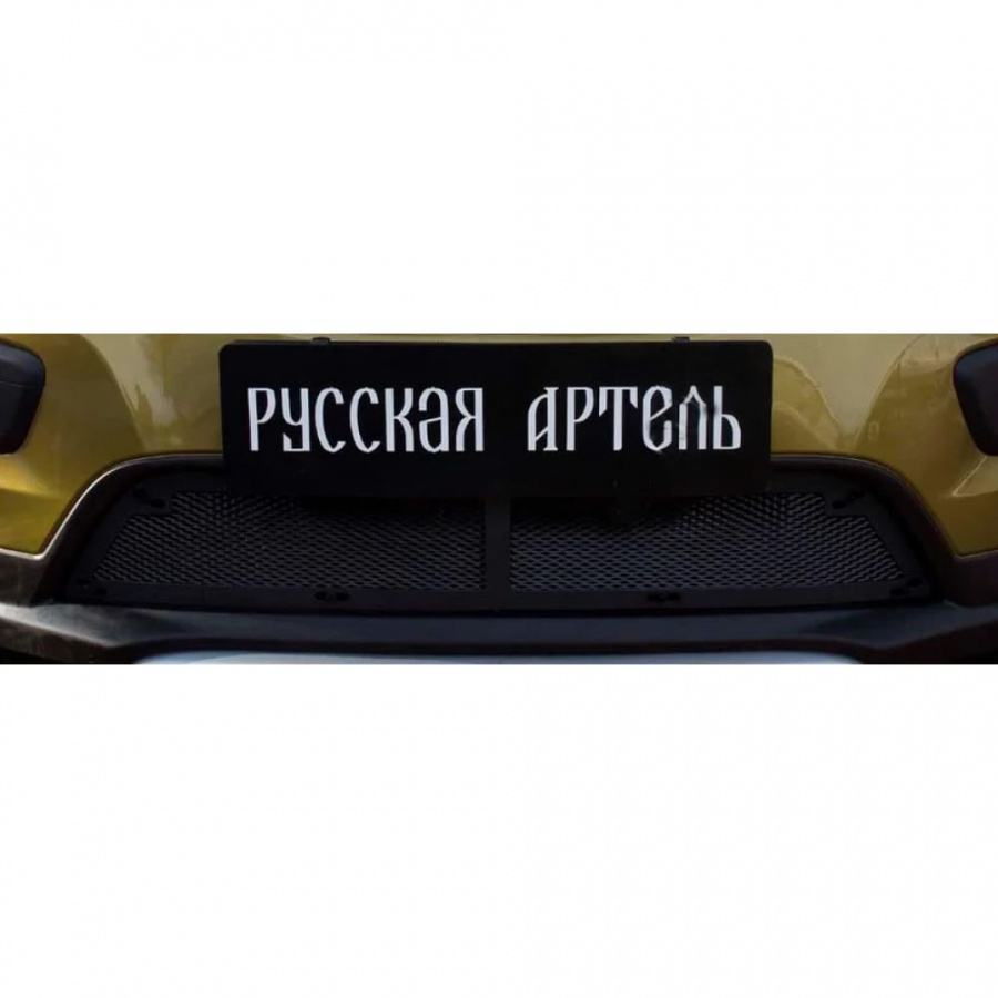 Защитная сетка для Renault Sandero Stepway 2014-2017 г.в. (II дорест.) Русская Артель SRR-134062