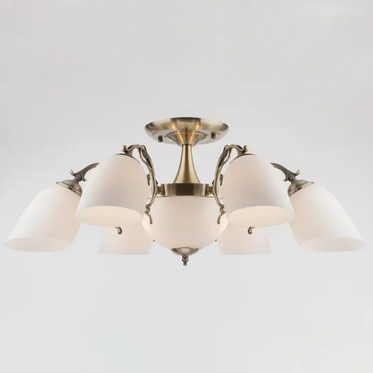 Потолочный светильник Eurosvet 22010 6+2 00000055432