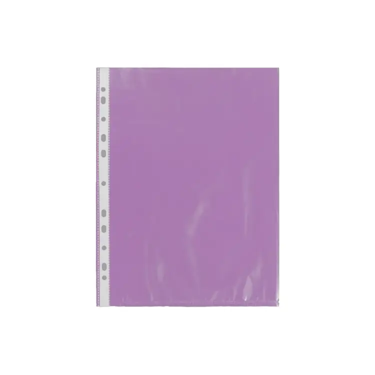 Файл-вкладыш Expert Complete 628079