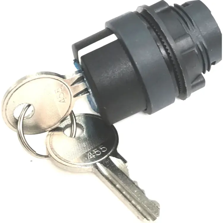 Головка переключателя Briswik КПЕ 21К LAY4-EG3.BR