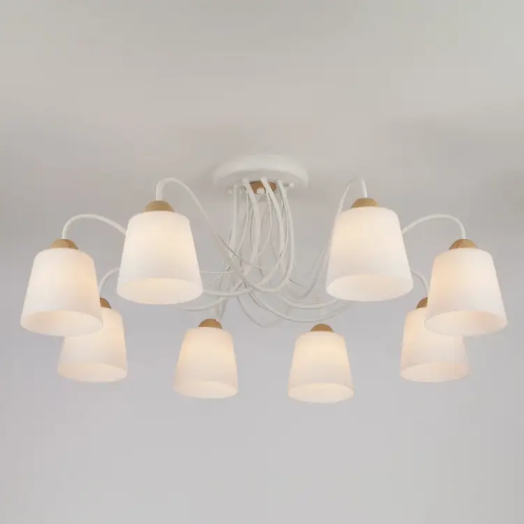 Потолочный светильник Eurosvet 70062 8 00000081857