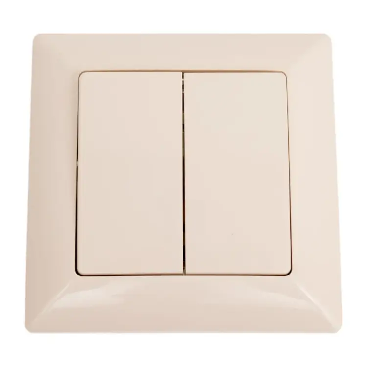 Двухклавишный выключатель Intro Solo 4-104-02 Б0053586