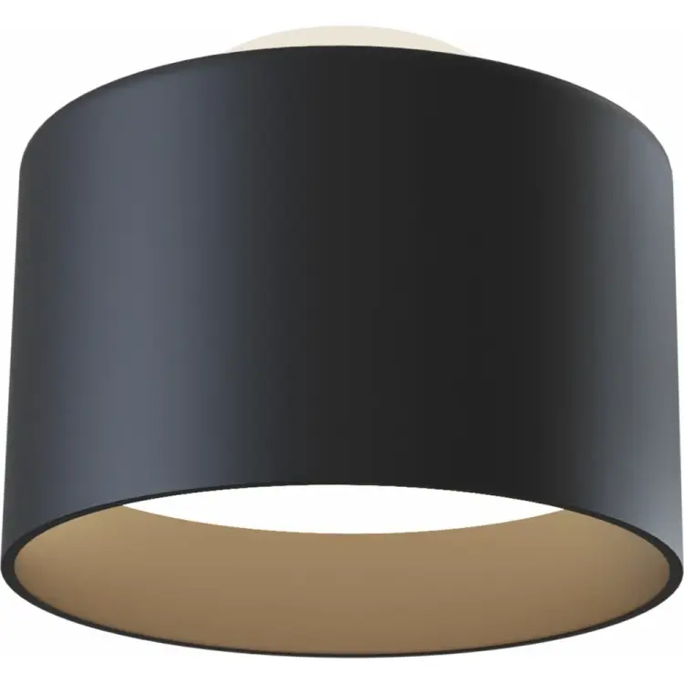 Потолочный светильник MAYTONI Planet C009CW-L16B